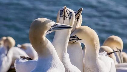 乐清最新公积金提取中介联系微信方法分析(最方便真实的乐清提取公积金的中介是如何操作的方法)